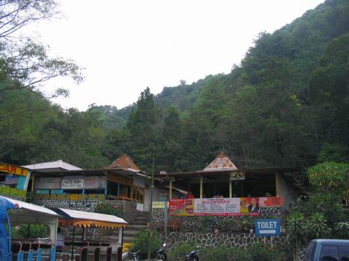 telog1.jpg