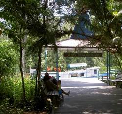 rimba.jpg