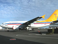 air-paradise-large.jpg