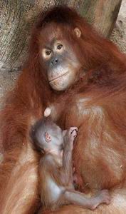 anak_orang1.jpg