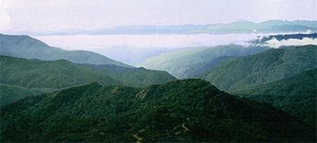 baliem-valley.jpg