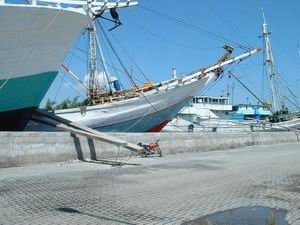 sundakelapa.jpg