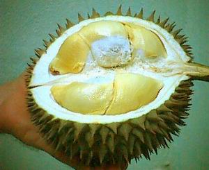 durian.jpg