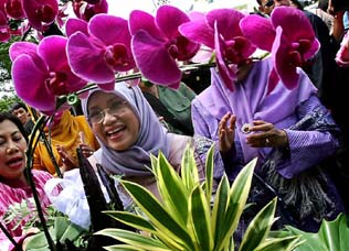 orchid_exhib.jpg