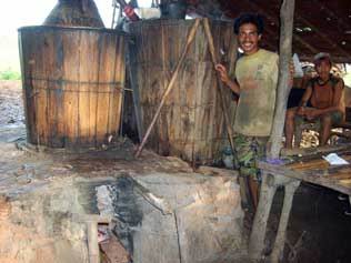 buru-cajeput.jpg