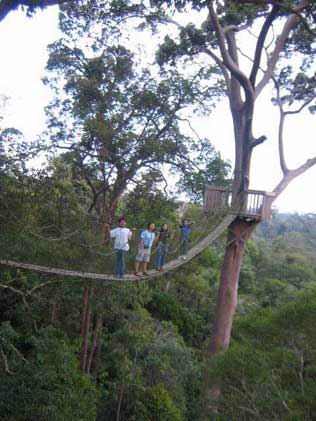 bukit.jpg