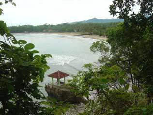 karang.jpg