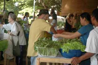 organic-markets-ubud.jpg