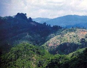 mini-badui_mt-kendeng.jpg
