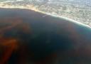 260px-la-jolla-red-tide780.jpg