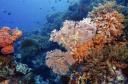 mini-bunaken-national-marine-park.jpg