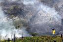 mini-land-clearing.jpg