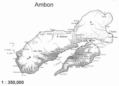 mini-ambon01200.jpg