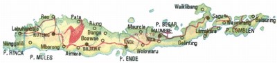 mini-flores_map1gif.jpg