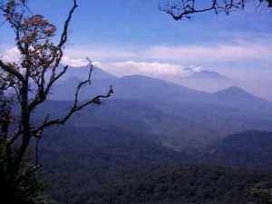 mini-gunung-haliman-np.jpg