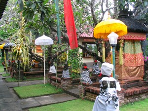 mini-img_4830.JPG