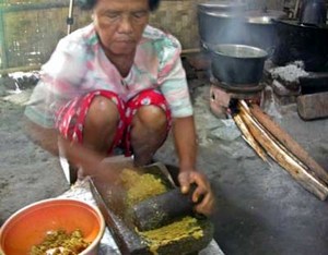 mini-kampung-jamu.jpg