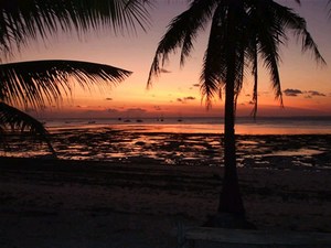 mini-roti-island-nembrella.jpg