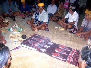 mini-sumba-ikat-1.jpg