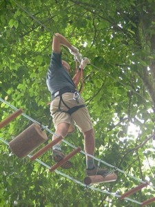 mini-treetop1.JPG