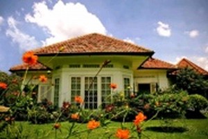 mini-pretty-house.jpg