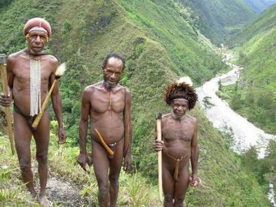 mini-papua